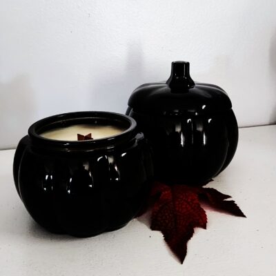 Harvest Moon Black Pumpkin